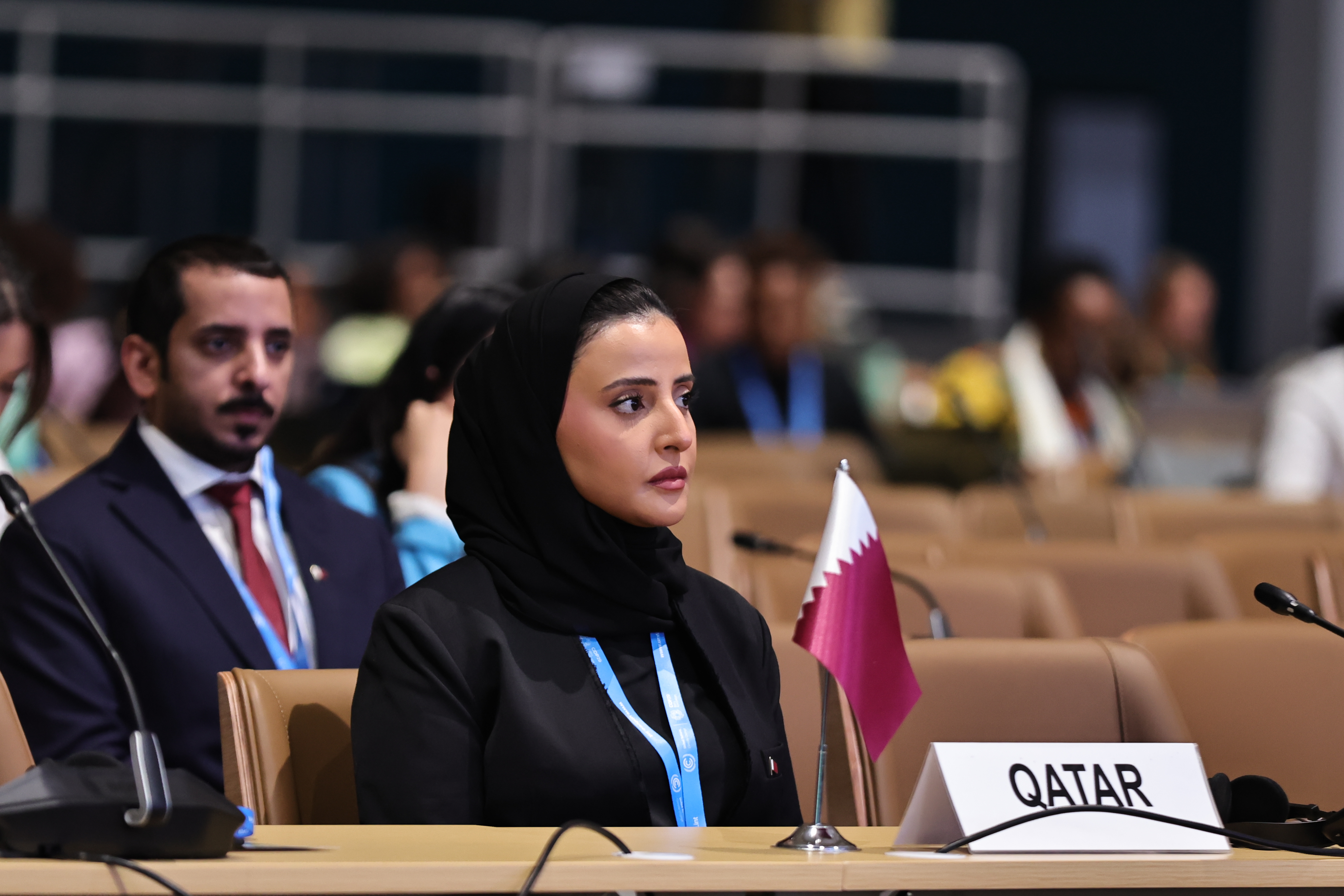 MSDF participates in COP29 climate change conference in Baku